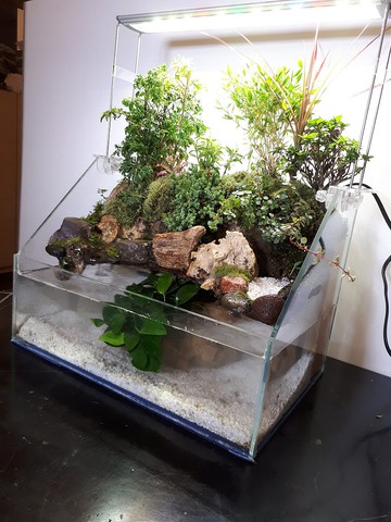 開運生態造景魚缸AC-36 斜切型 居家風水最耀眼的擺飾