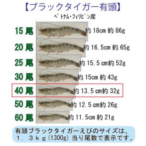 BT有頭40尾　1.3kg