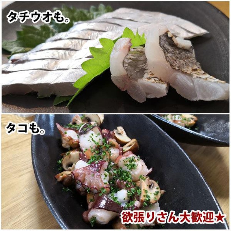 Dios チェベレ タチタコ 180 船太刀魚テンヤ＆船タコエギを1本で タチウオ タコ 船竿 大型便B | LINEブランドカタログ