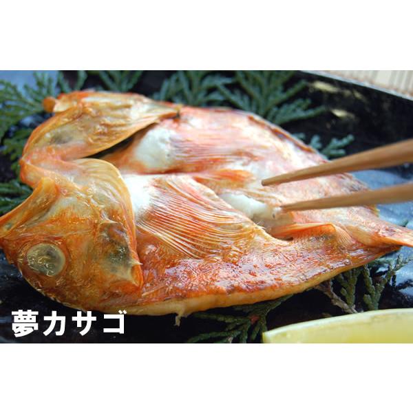 夢かさご開き（冷凍）小　3尾入（140ｇ以上）（兵庫県浜坂産）ノドグロに負けない美味しさ　（干物、夢カサゴ、キンキ）