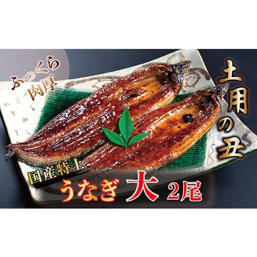 ふるさと納税 福井県 越前市 国産！特上うなぎのかば焼き 約200g × 2尾