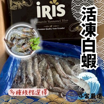 【小富嚴選】嚴選精選高品質白蝦 鮮甜美味 活凍白蝦 。(重量750g~850g/多種規格大小) 火鍋海鮮 草蝦 天使紅蝦 烤肉食材 火鍋食材 生白蝦