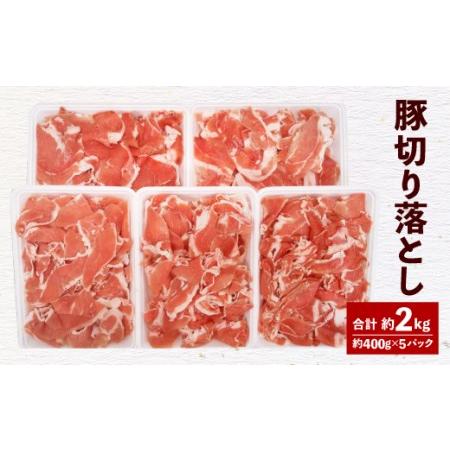 ふるさと納税 093-476 大分県産 米の恵 豚 切落し 約2kg 約400g×5 豚肉 大分県豊後大野市