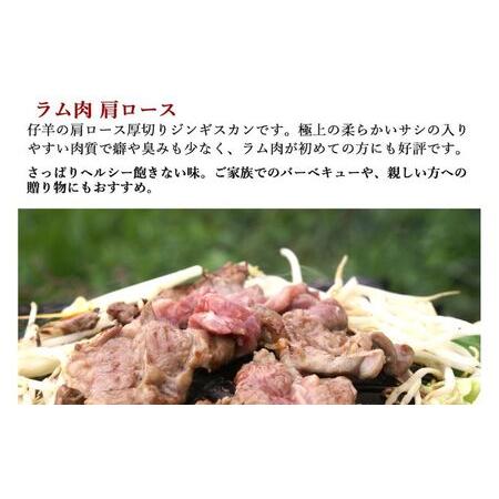 ふるさと納税 味付けジンギスカン5０0g×1 ラム肩ロース500×1 北海道室蘭市