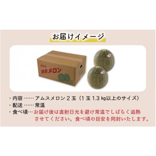 ふるさと納税 福井県 あわら市 アムスメロン（1.3kg以上 2玉入) とろけるような果肉が絶品！ ／ 期間限定 果物 フルーツ 産地直送 青肉 人気 ※20…