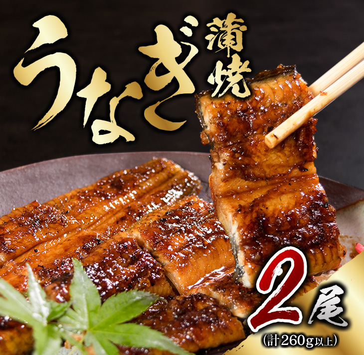 CD40-23 職人手焼きうなぎ蒲焼2尾(計260g以上)　鰻　ウナギ　魚　魚介　国産