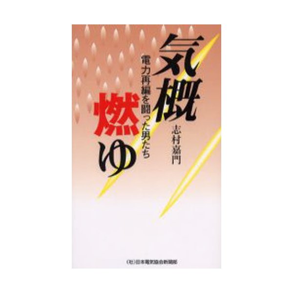 気概燃ゆ 電力再編を闘った男たち