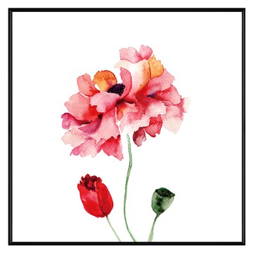 Boluo 菠蘿選畫所 花香調I 掛畫 BFTF4402B  40 x 40cm  黑色