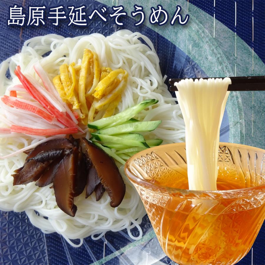 島原手延べそうめん 500ｇ（50g 10束） 長崎県 植木製麺工場 島原そうめん にゅうめん 島原 手延べ素麺 送料無料