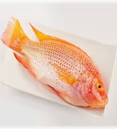 東港海紅鯛400-480g/包