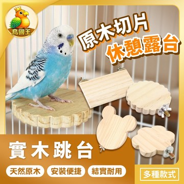 【鳥國王】鸚鵡實木站台 鳥用實木跳台 實木休息台 啃咬抓握站架 鸚鵡跳台平台 鳥籠造景站台 鳥用品 鸚鵡用品 小寵用品