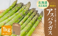 北海道北広島産 朝採りアスパラガス(1kg) 野菜 北海道 北広島市