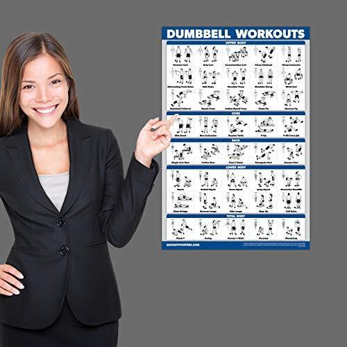 Palace Learning Pack: Dumbbell   Bodyweight   Stretching Workout Poster S