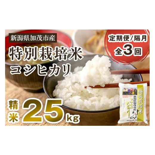 ふるさと納税 新潟県 加茂市 新潟県加茂市産 特別栽培米コシヒカリ 精米25kg（5kg×5）白米 従来品種コシヒカリ 加茂有機米生産組合