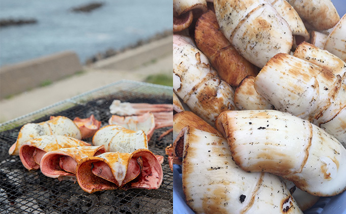 イカ 炭火焼きイカ 5パック セット 青森 いか 干物 干物セット するめ スルメ スルメイカ 海鮮 魚介類 魚介 海産物 国産 加工食品 惣菜 青森県 鰺ヶ沢町 ※ご入金確認後 3ヶ月以内の発送になります。