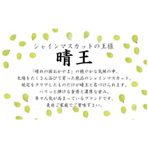 ふるさと納税 岡山県 備前市 岡山県産シャインマスカット晴王　大房２房