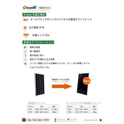 20%OFF！【単結晶170W】ブルーサンソーラー 太陽光パネル BSM170PM5-S