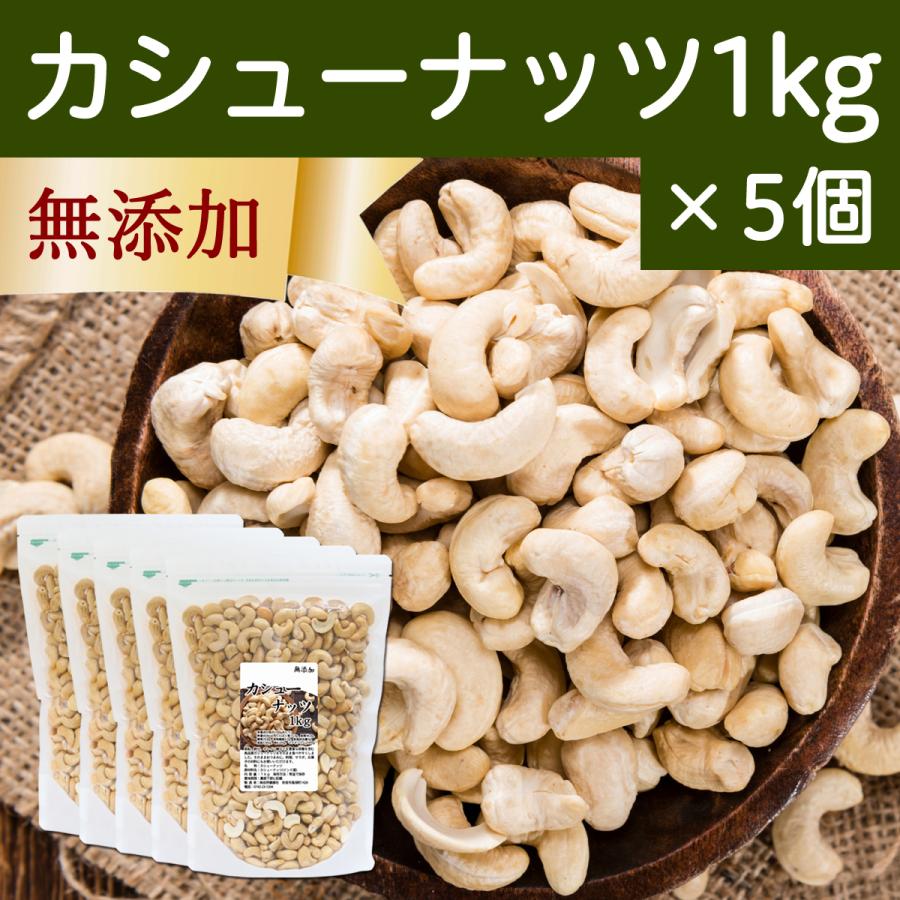 カシューナッツ 素焼き 1kg×5個 無塩 無添加 塩なし ロースト