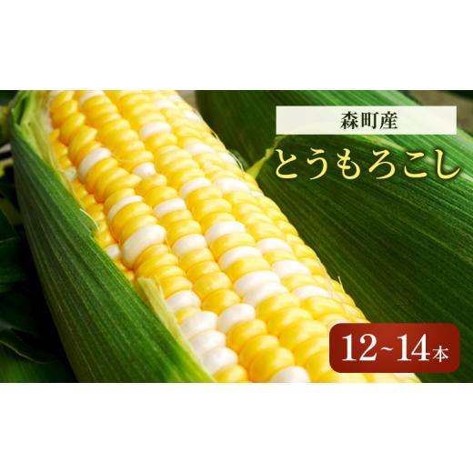 ふるさと納税 静岡県 森町 森のとうもろこし（12〜14本）