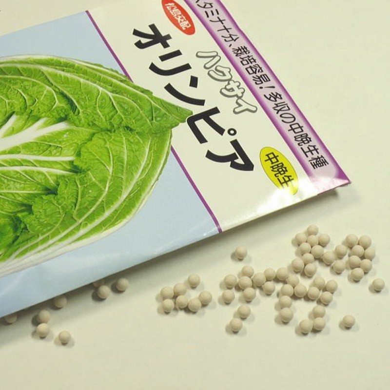 着後レビューで 野菜の種 実咲野菜2300 芽キャベツファミリーセブン tezelizolasyon.com