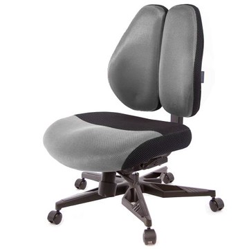 GXG 低雙背DUO KING 工學椅(電競腳/無扶手)  TW-3005 KGNH