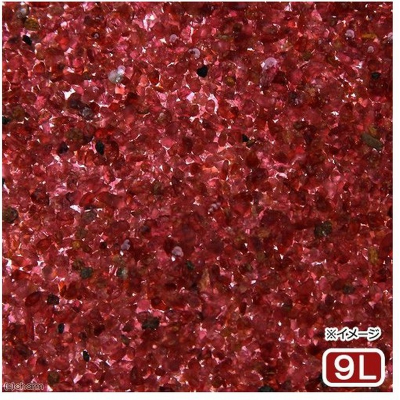 ｎｏ ２６ ｇａｒｎｅｔ ガーネット ９リットル ６０ｃｍ水槽用 沖縄別途送料 通販 Lineポイント最大0 5 Get Lineショッピング