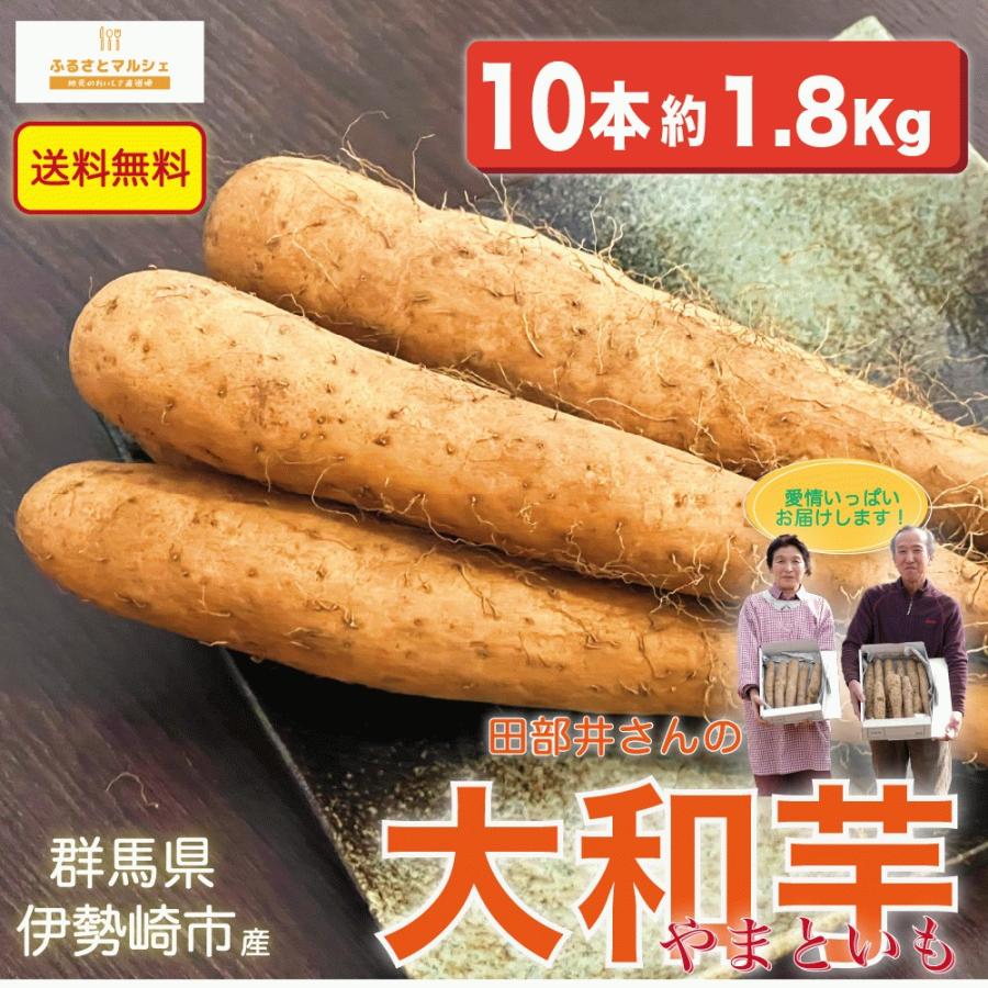 ご自宅用 大和芋 ヤマトイモ  10本 約 1.8Kg 贈答用にも 群馬県産 送料無料