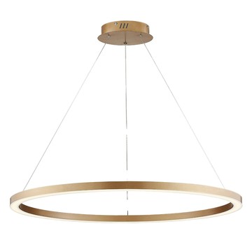 LED50W單環簡約吊燈 F1002