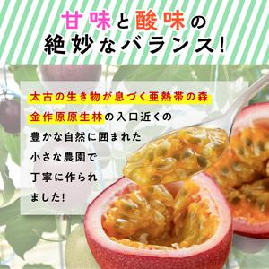 ふるさと納税 農家直送 パッションフルーツ　贈答用1ｋｇ（秀品12個入り） 奄美大島産 贈答用 果物 先行.. 鹿児島県奄美市