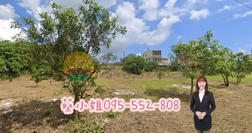 大樹坪頂段｜大地坪臨路面寬乙種建地｜一坪僅8萬｜高雄市大樹區坪頂段