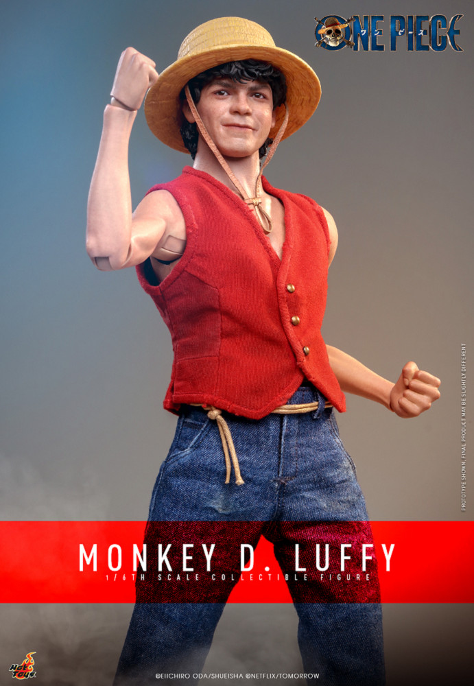 【預購】HOT TOYS TMS109 航海王 蒙其·D·魯夫