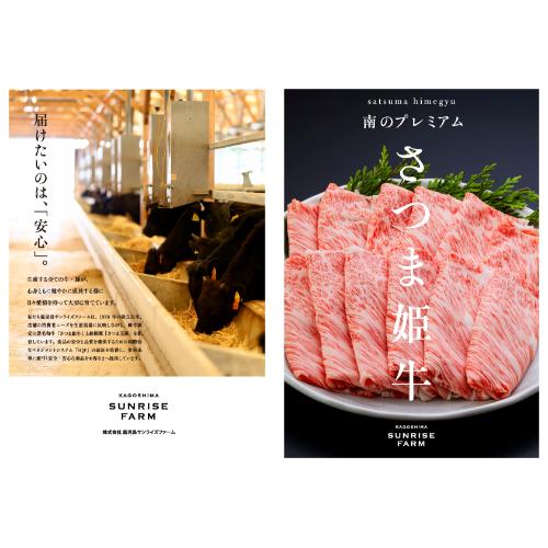 国産　牛肉　肉　カレー　鹿児島県産　さつま姫牛　ビーフカレーセット　200g×10食