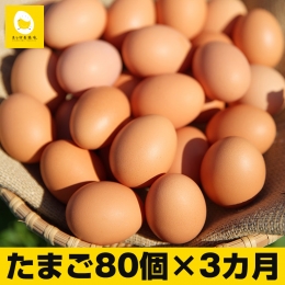 3ヵ月連続お届け 卵の黄身が掴めるほどの新鮮さ 美ら卵養鶏場の卵 各月80個