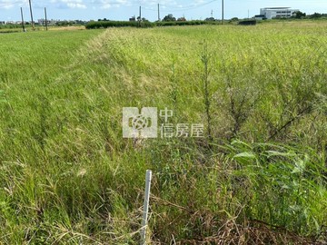 八分段前後有路方正美農地｜台南市西港區八分段