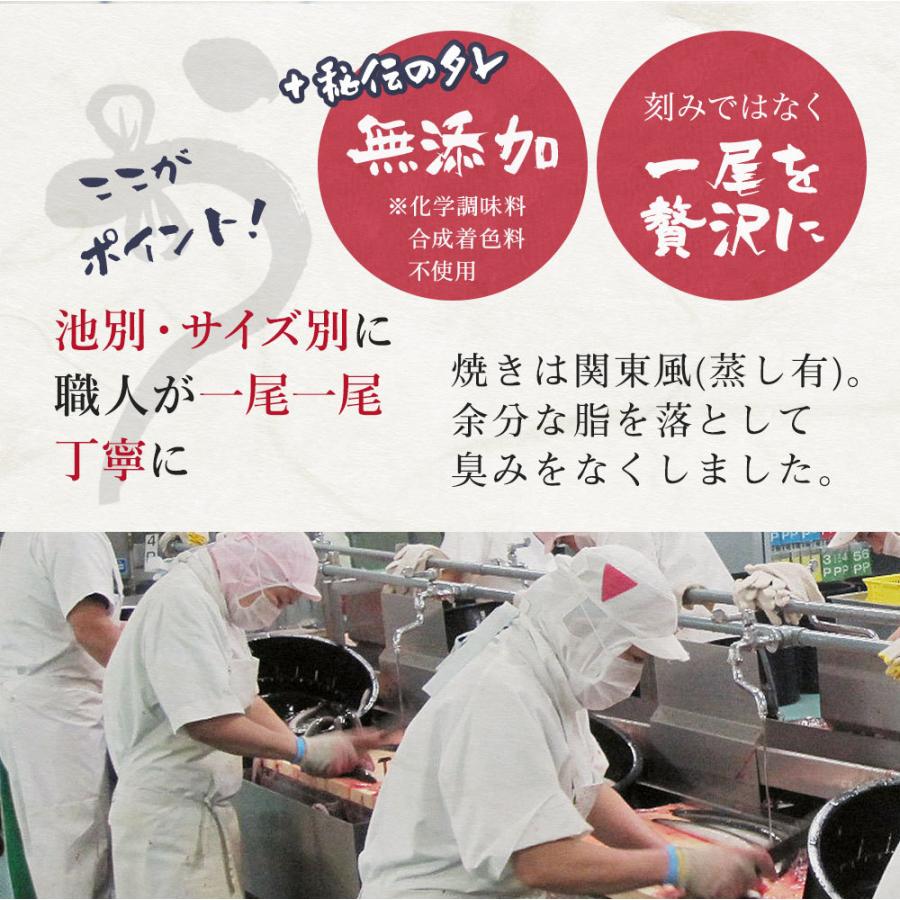 鹿児島県産 特大うなぎの蒲焼き 約250g うなぎ 国産 ギフト 蒲焼き 無添加 内祝い きざみ 誕生日 特大 ひつまぶし]