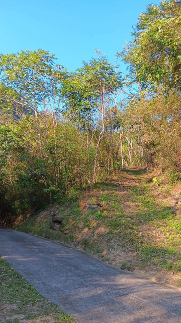 銅鑼山水間 林溪靜地｜苗栗縣銅鑼鄉新雞隆段