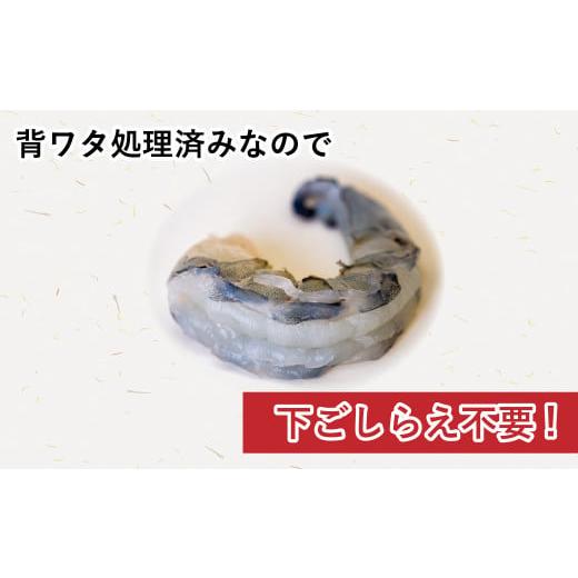 ふるさと納税 高知県 須崎市 むきエビ 高級 ブラックタイガー 1.3kg 保水剤無添加 背ワタなし 冷凍 下処理済 エビ 海老 人気 殻 むき 時短 便利 簡単調理 特大…