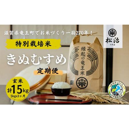 ふるさと納税 定期便 3ヶ月 きぬむすめ 玄米 5kg 縁起の竜王米 特別栽培米 令和5年産  新米 ブランド米 玄米 計 15kg 定期便 3回 おこめ ご飯 .. 滋賀県竜王町