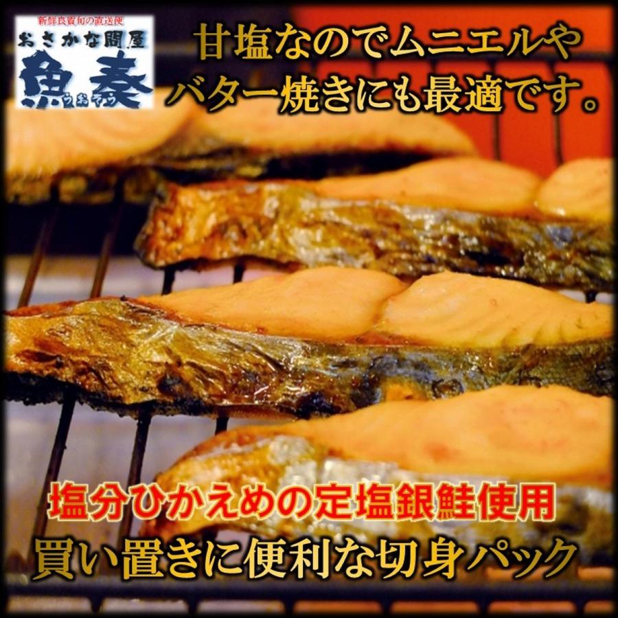 チリ産 甘塩銀鮭 切身 約70g×10切 さけ 鮭 サケ 銀鮭  弁当 グルメ 買置き 在宅 母の日 父の日 敬老 在宅応援 中元 お歳暮 ギフト