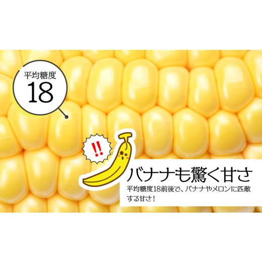 ふるさと納税 北海道 千歳市 北海道 千歳産 とうもろこし １本430ｇ以上 25本 恵味スター 野菜 トウモロコシ 甘い 旬 夏 BBQ ＜ファーム安澤＞