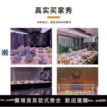 【品質高 價格低】五羊本田王電鋸家用220v插電式手持伐木鋸大功率砍樹鏈條鋸電動鋸