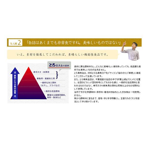 いわし イワシ イワシ缶 千葉産直 ミニとろイワシ味付 100g 2個セット