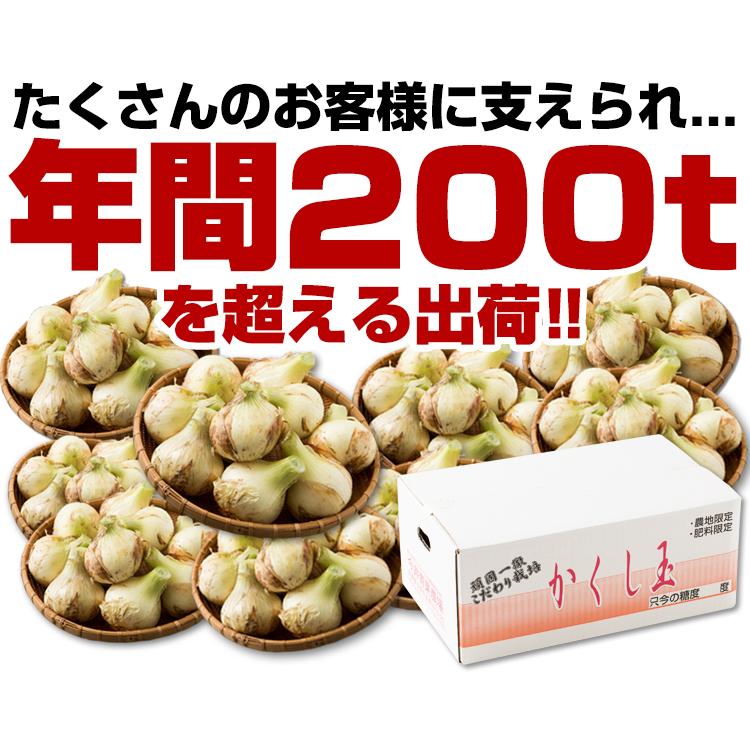 玉ねぎ 2kg 淡路島 減農薬 有機肥料栽培 かくし玉 今井ファ−ム たまねぎ タマネギ 玉葱 ＃かくし玉2Ｋ＃