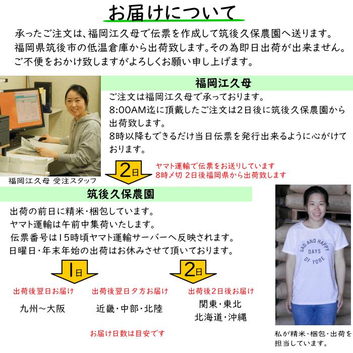 無農薬 無肥料 発芽前玄米10Kg 福岡県産 令和5年度産 元気つくし 0.5分づき米 発芽玄米 筑後久保農園 自然栽培米