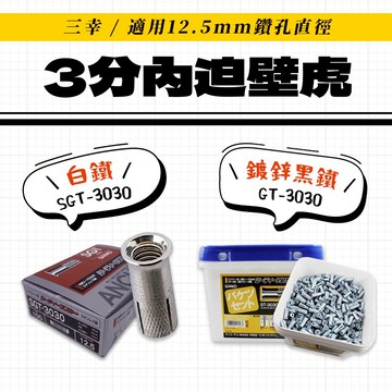 三幸 3分內迫 壁虎 3/8" 內牙壁虎 3分螺桿 膨脹螺絲 錨栓 三分 GT-3030 12.5mm 螢宇五金
