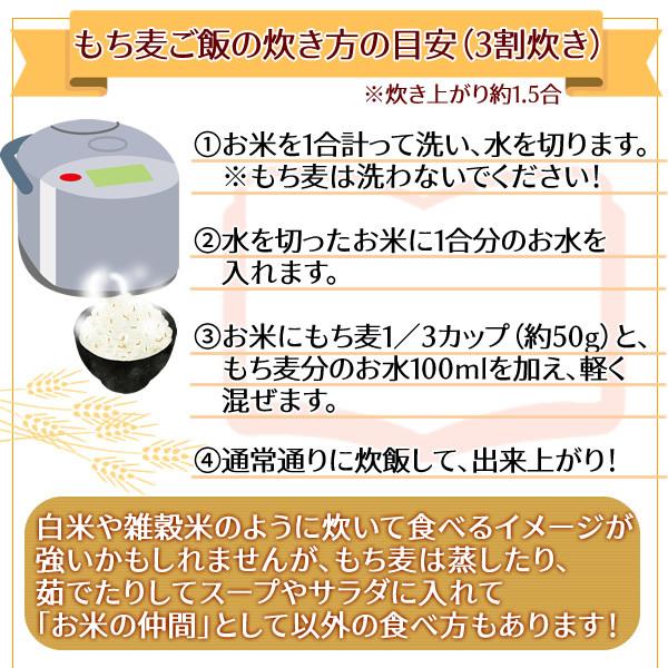 キラリモチ 岡山県産 950g もち麦 国産 メール便 送料無料