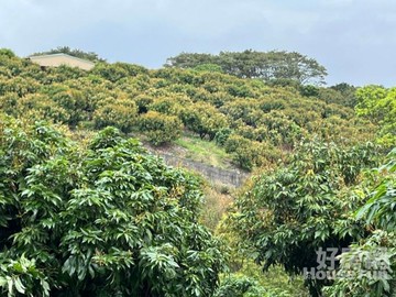 佛光山3.97甲豐沃農地｜高雄市大樹區學城段