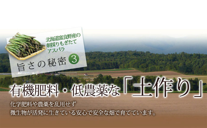 北海道ふらの産☆生で食べれるアスパラS-Lサイズ混合 (スイートベジタブルファクトリー)