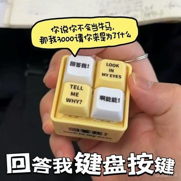 🛒臺灣隔日達🌳迴答我玩具語錄髮音髮光鑰匙扣解壓按鍵玩具送朋友趣味