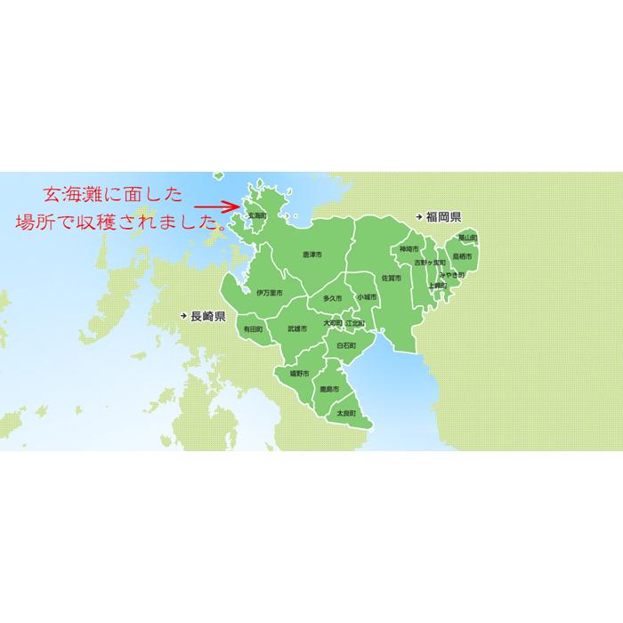 佐賀県上場地区コシヒカリ 棚田米 玄米 ３０kｇ 送料無料 精米無料 小分け無料 九州 佐賀県産 佐賀米